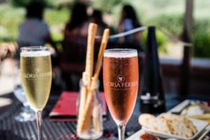 河南男篮主场失利，欲求反弹之路