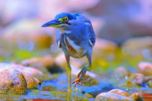 蓝月亮闪耀北伦敦！曼城客场摧枯拉朽，4-1大胜阿森纳，连胜纪录再攀新高！