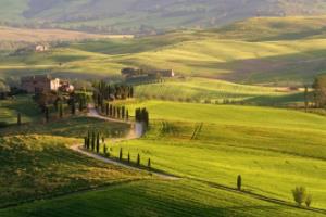 冰雪之冠上的闪耀之星：俄罗斯球员在国内赛场上的崛起与辉煌