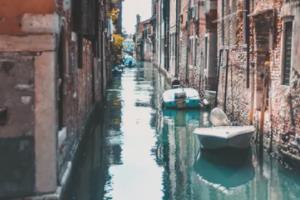 曼城队员灵活作战，取得关键胜利