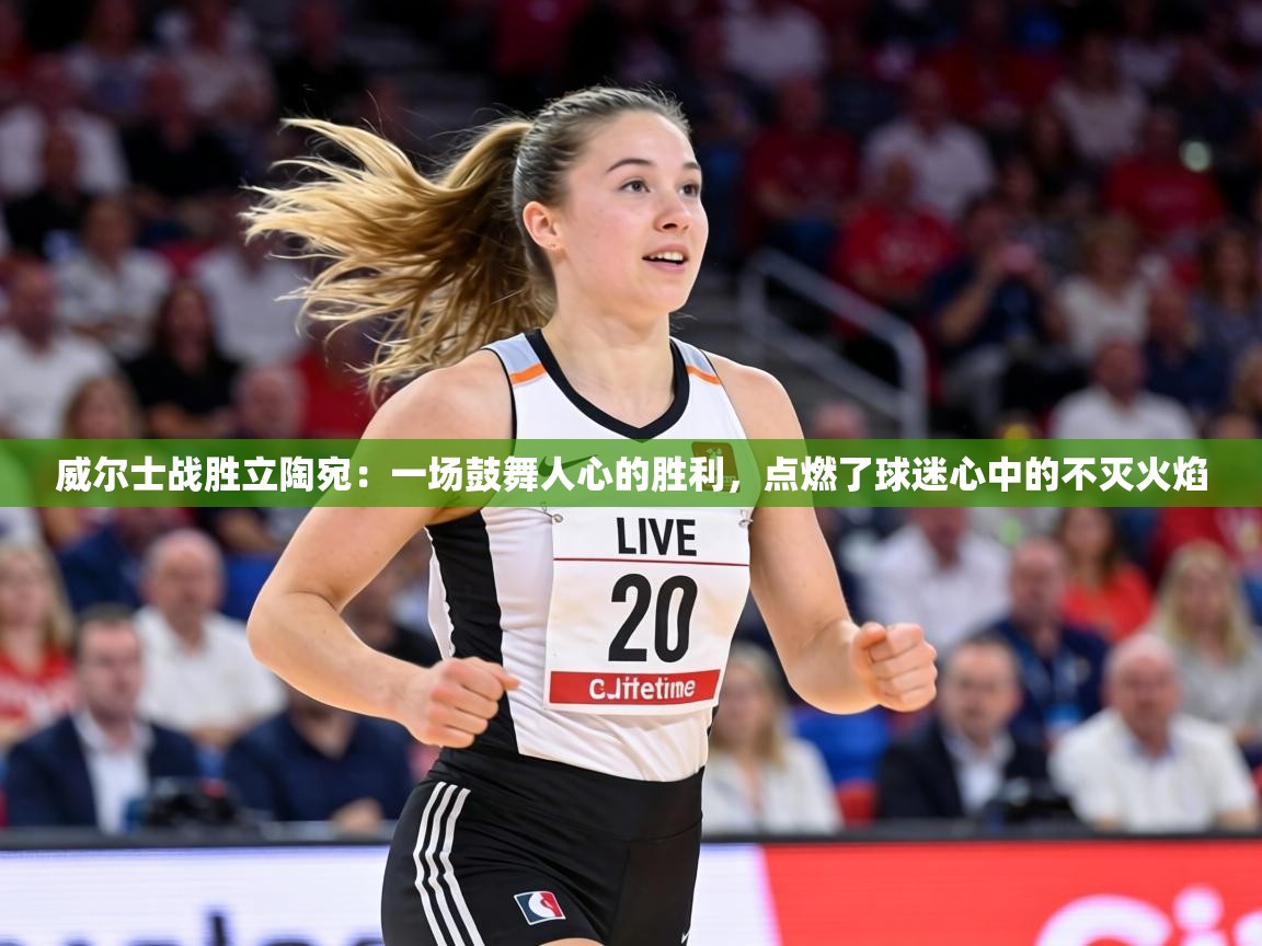 威尔士战胜立陶宛：一场鼓舞人心的胜利，点燃了球迷心中的不灭火焰  第2张