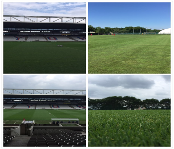 爱游戏在线登录-里昂青训学院培养出新一代潜力球员的简单介绍