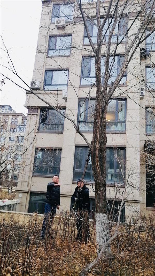 爱游戏亚洲官网-哈尔滨毅腾主场大捷，提升士气，争取继续取胜！