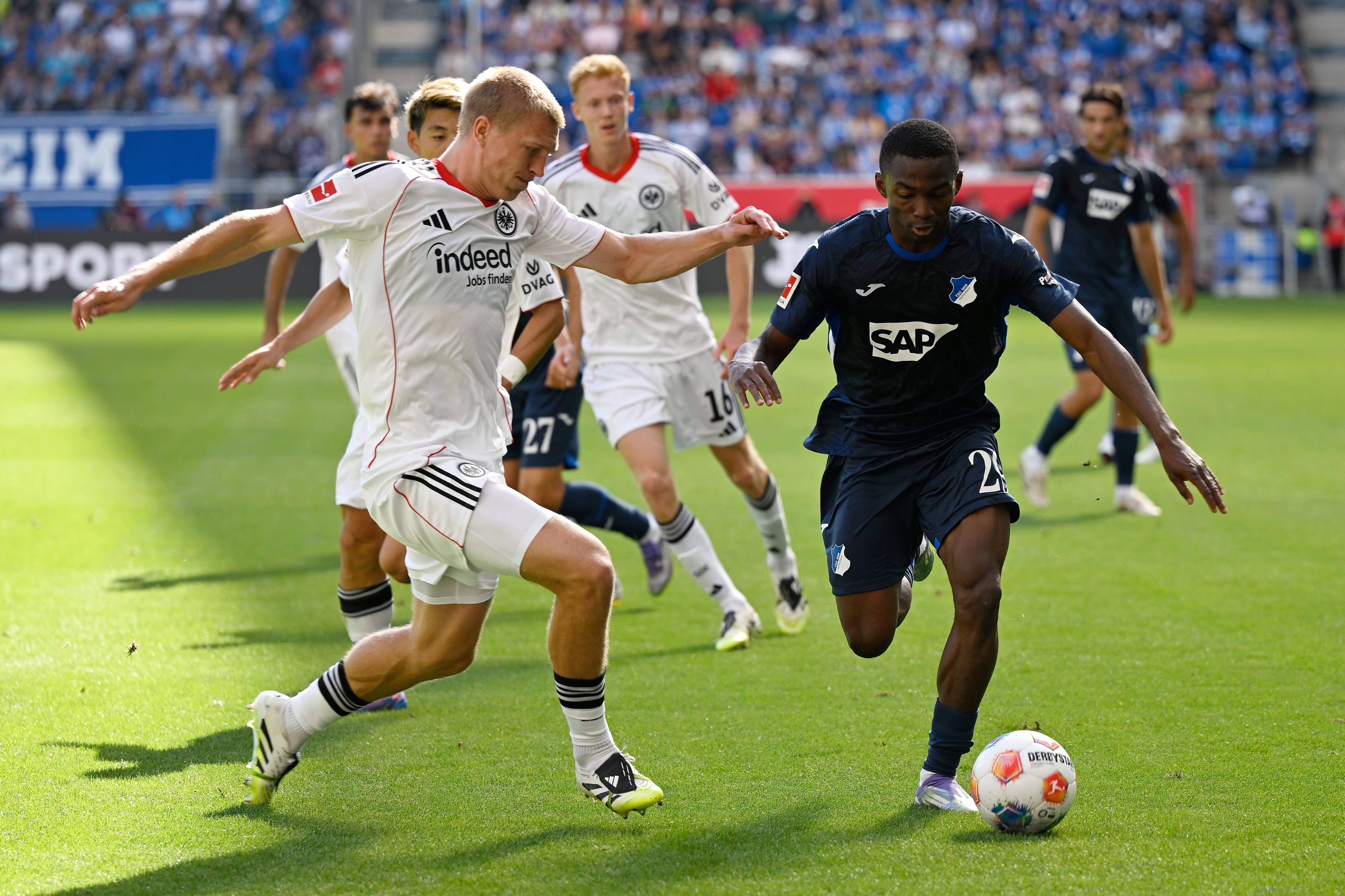 关于霍芬海姆足球俱乐部争分夺秒备战欧洲赛事的信息 关于霍芬海姆足球俱乐部争分夺秒备战欧洲赛事的信息